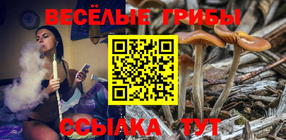Псилоцибиновые грибы прущие грибы Анжеро-Судженск